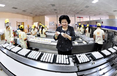 Pham Thi Huan (black shirt) besides a fresh egg treatment chain at her company (Photo: SGGP)